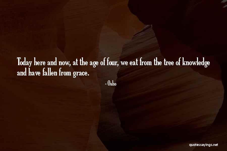 H M Fallen Quotes By Osho H M Fallen Quotes By Osho