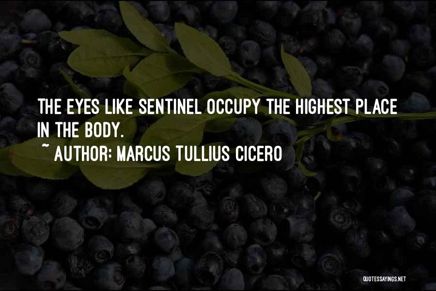H Samettin Zkan Quotes By Marcus Tullius Cicero