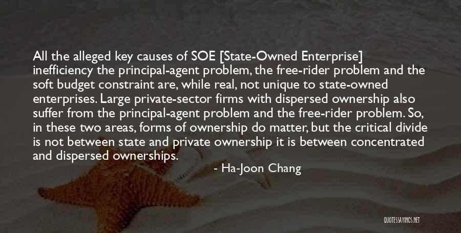 Ha-Joon Chang Quotes 1850796