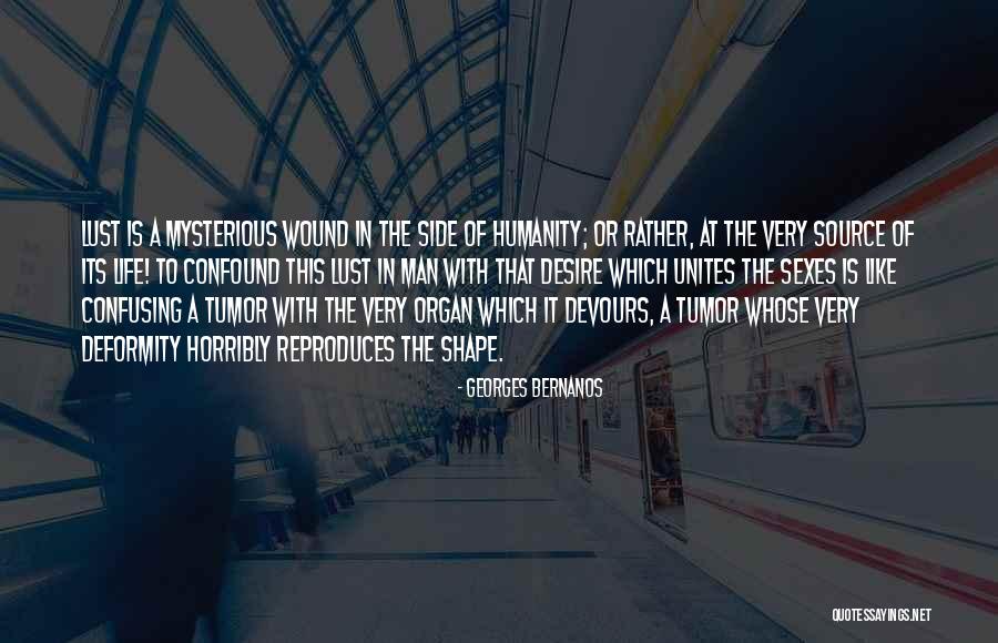 Haagenson Rentals Quotes By Georges Bernanos