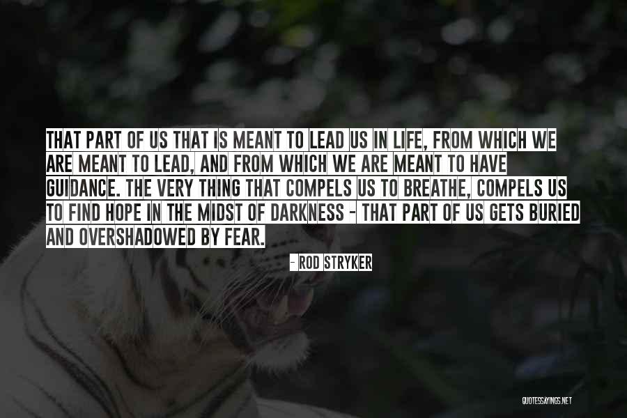 Haaks Cakes Quotes By Rod Stryker Haaks Cakes Quotes By Rod Stryker
