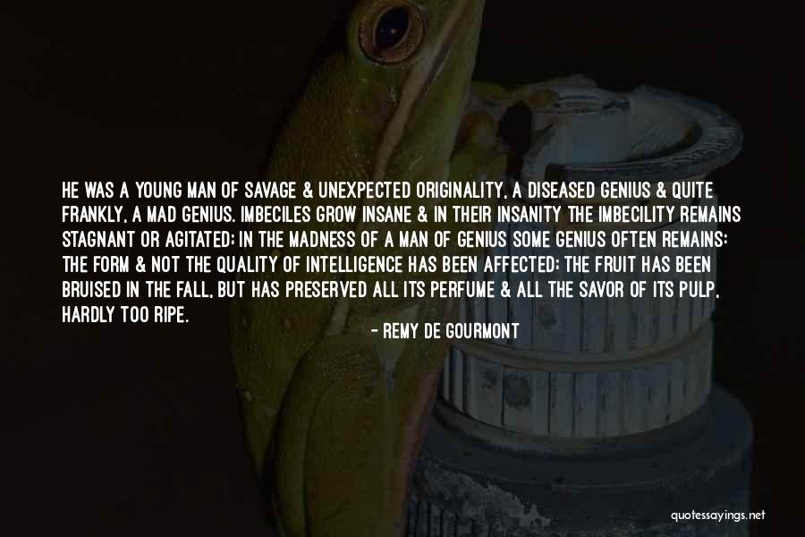 Haaks Nano Quotes By Remy De Gourmont Haaks Nano Quotes By Remy De Gourmont