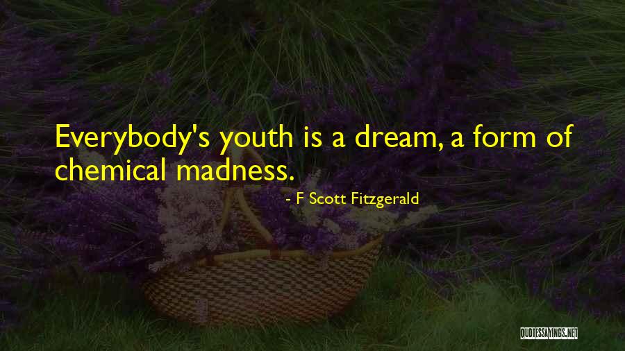 Haalat Update Quotes By F Scott Fitzgerald