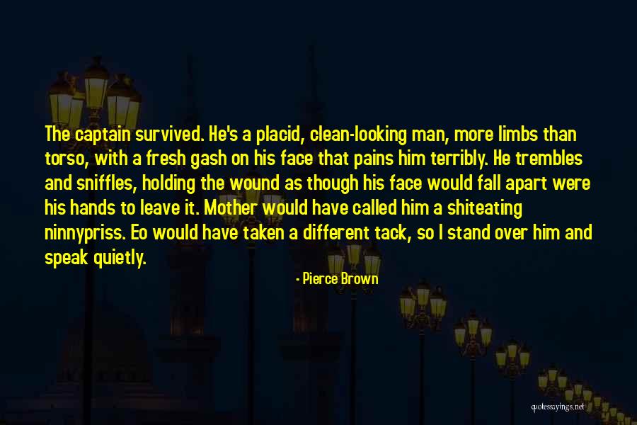 Haataja Surveying Quotes By Pierce Brown Haataja Surveying Quotes By Pierce Brown