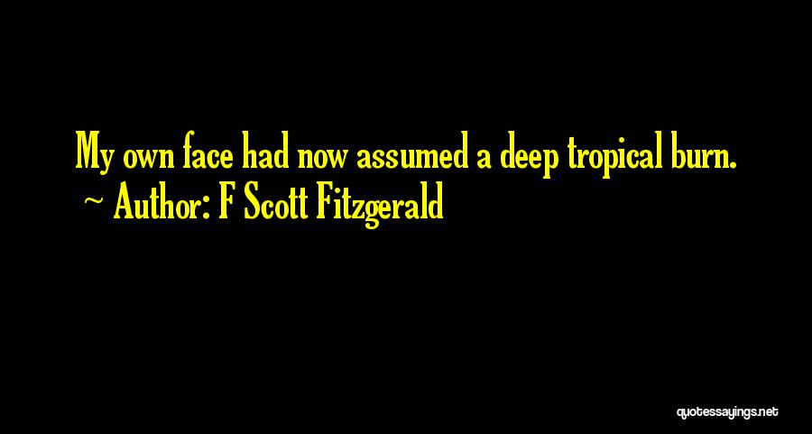 Habaish Yemen Quotes By F Scott Fitzgerald