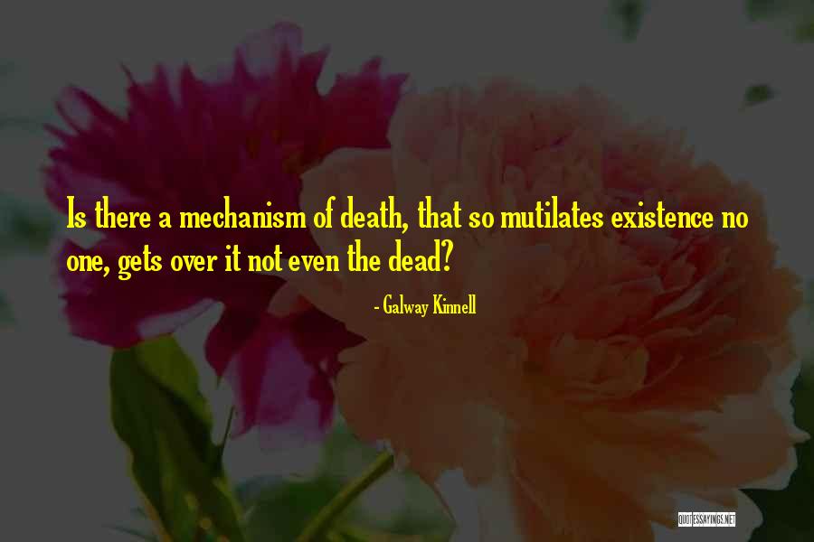 Haberl Wealth Quotes By Galway Kinnell Haberl Wealth Quotes By Galway Kinnell