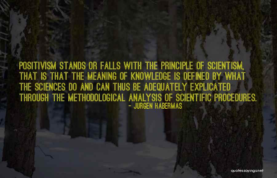 Habermas Quotes By Jurgen Habermas