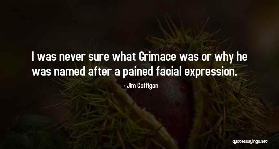 Habert Rk Quotes By Jim Gaffigan Habert Rk Quotes By Jim Gaffigan