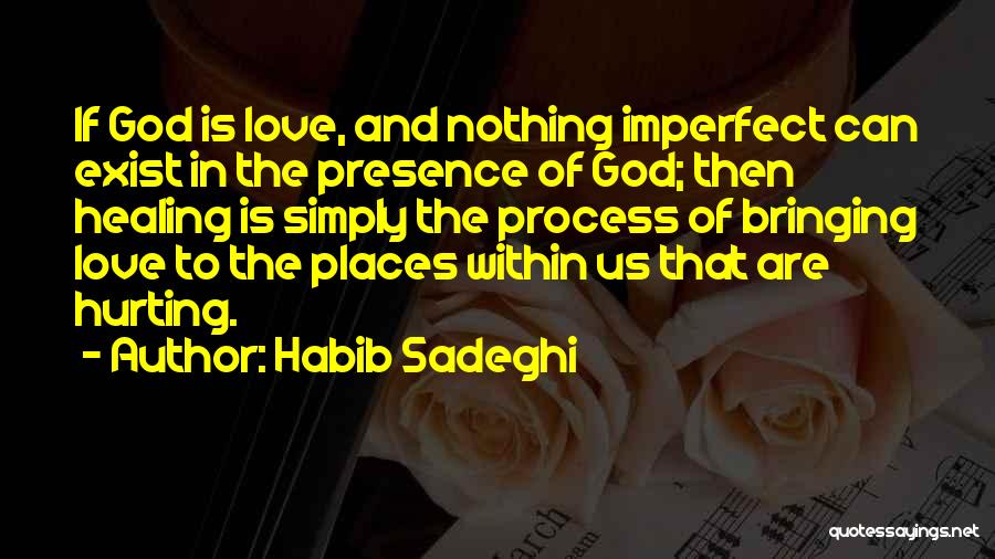 Habib Quotes By Habib Sadeghi