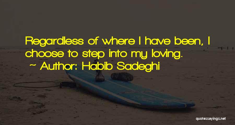 Habib Sadeghi Quotes 458482