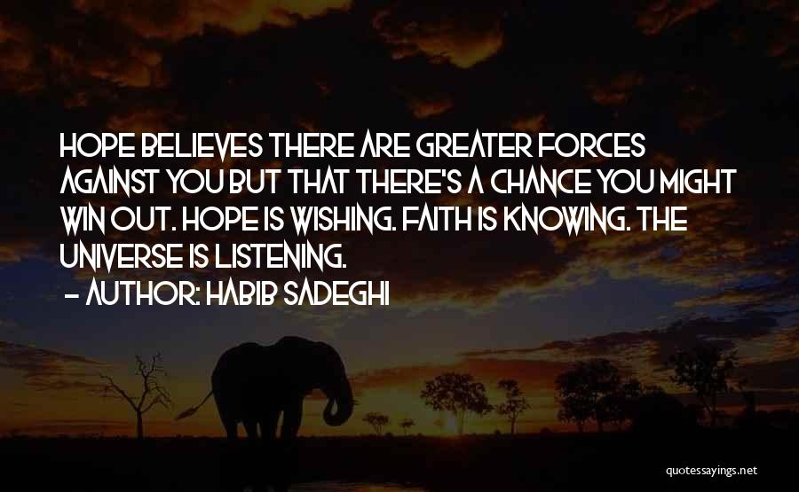 Habib Sadeghi Quotes 650143