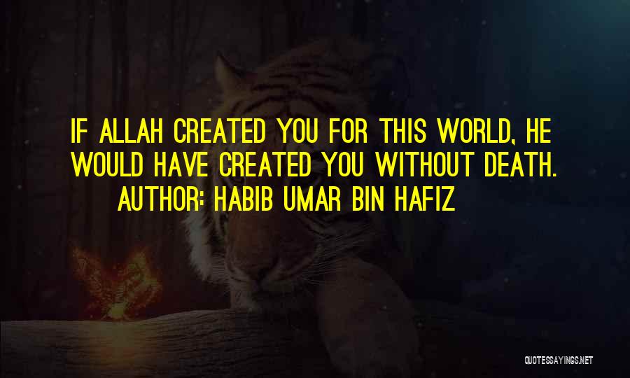 Habib Umar Bin Hafiz Quotes 135737