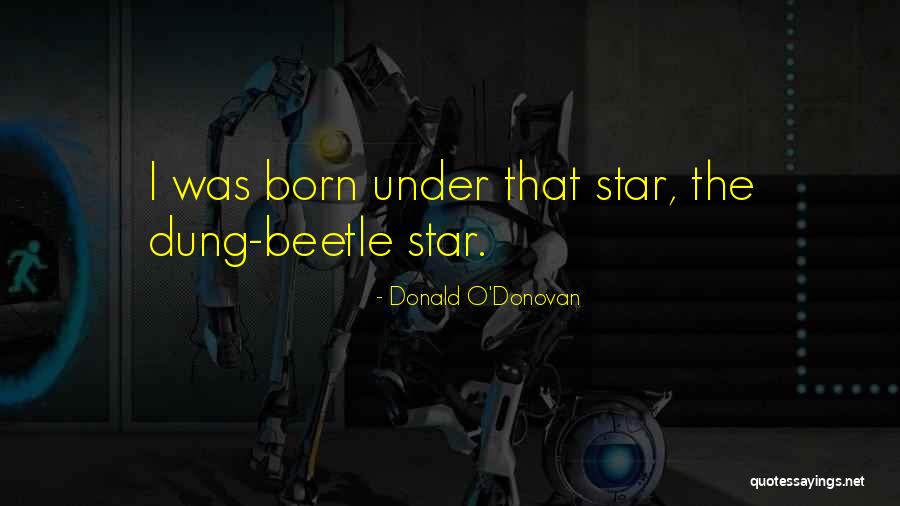 Habilitative Services Quotes By Donald O'Donovan Habilitative Services Quotes By Donald O'Donovan