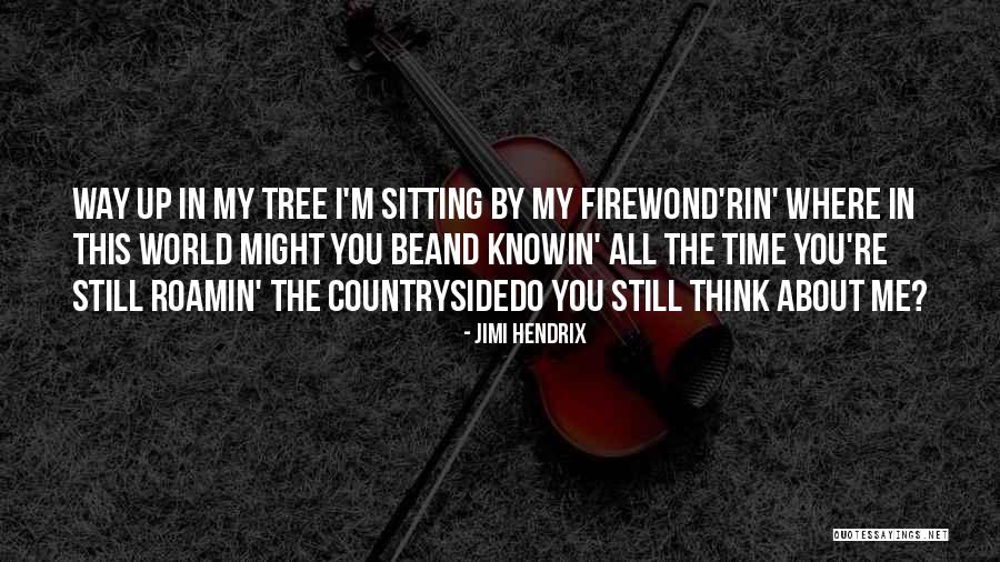 Habitamar Quotes By Jimi Hendrix Habitamar Quotes By Jimi Hendrix