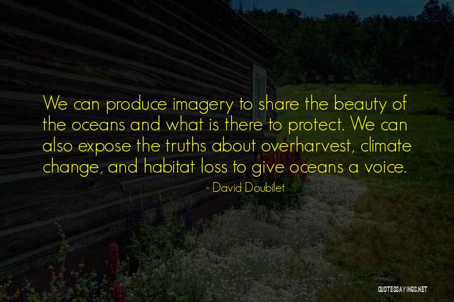 Habitat Loss Quotes By David Doubilet Habitat Loss Quotes By David Doubilet