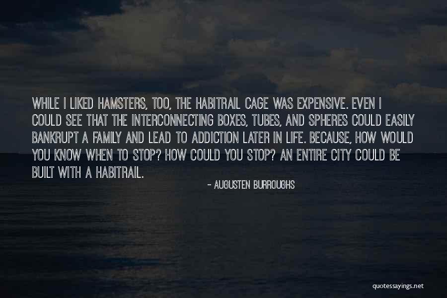 Habitrail Quotes By Augusten Burroughs Habitrail Quotes By Augusten Burroughs