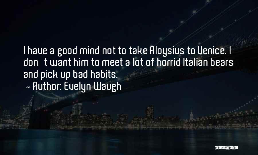 Habits Of Mind Quotes By Evelyn Waugh