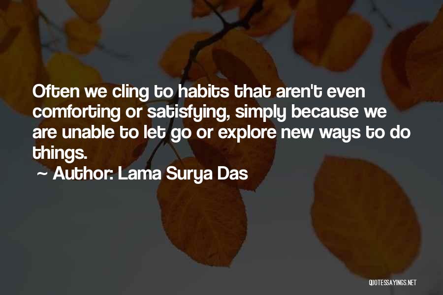 Habits Quotes By Lama Surya Das