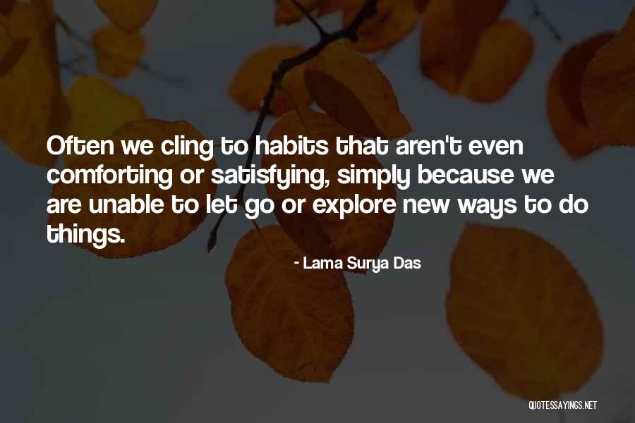 Habits Quotes By Lama Surya Das Habits Quotes By Lama Surya Das