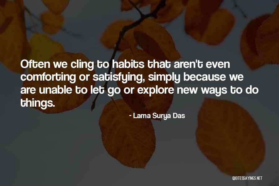 Habits Quotes By Lama Surya Das