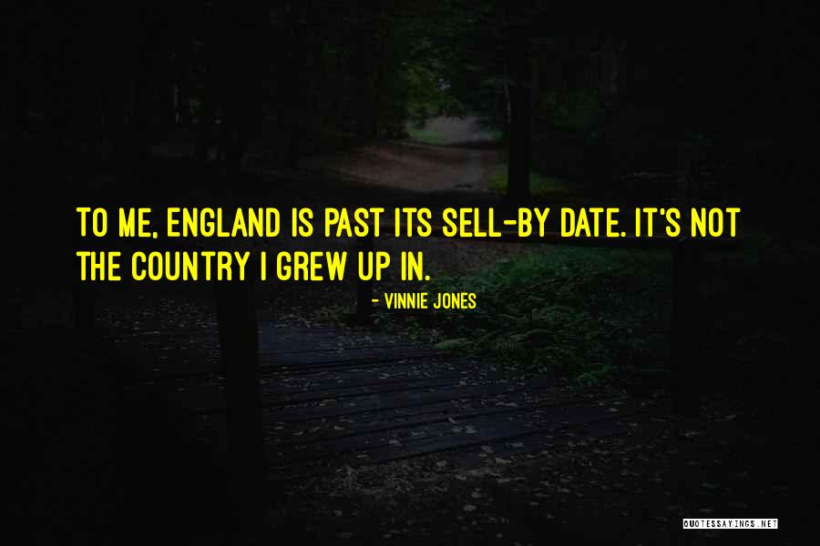 Hablador Yo Quotes By Vinnie Jones Hablador Yo Quotes By Vinnie Jones