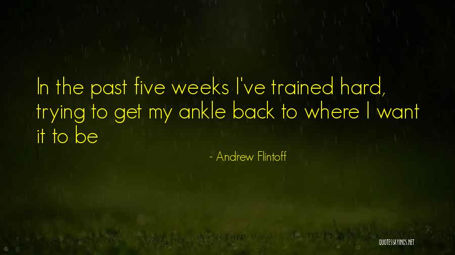 Hablis Quotes By Andrew Flintoff Hablis Quotes By Andrew Flintoff