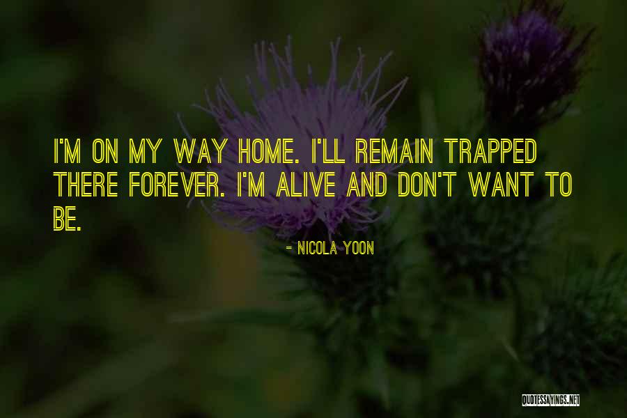 Hacedor De Memes Quotes By Nicola Yoon Hacedor De Memes Quotes By Nicola Yoon