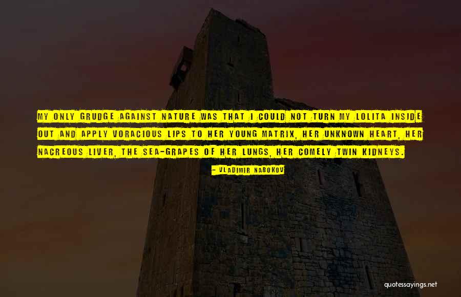 Haciendole Un Quotes By Vladimir Nabokov Haciendole Un Quotes By Vladimir Nabokov