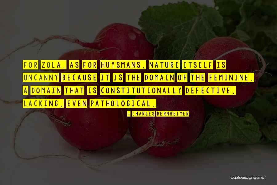 Hacik Na Quotes By Charles Bernheimer Hacik Na Quotes By Charles Bernheimer