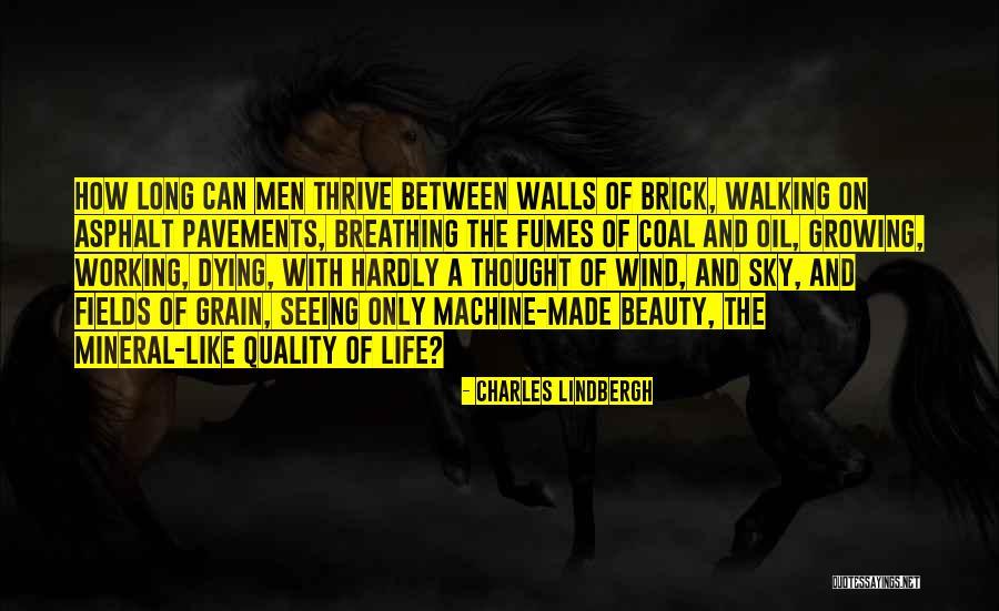 Hackertarget Quotes By Charles Lindbergh Hackertarget Quotes By Charles Lindbergh