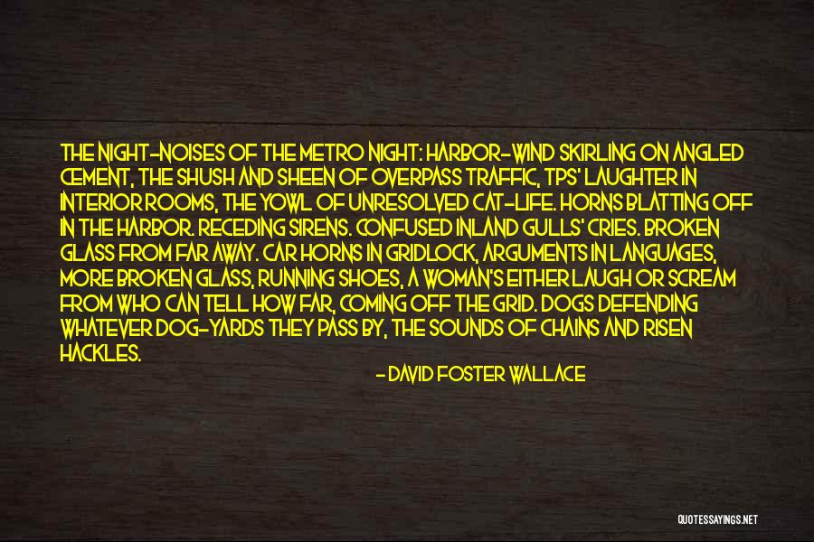 Hackles Quotes By David Foster Wallace Hackles Quotes By David Foster Wallace