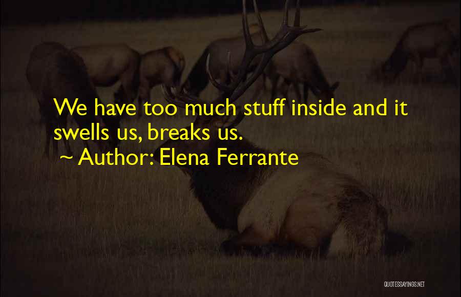 Hacky Sacks Quotes By Elena Ferrante