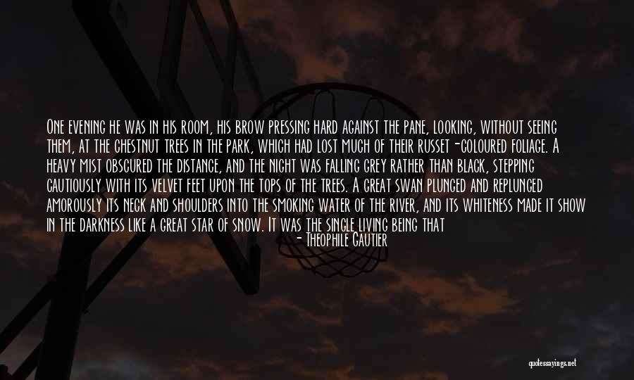 Had A Great Night Quotes By Theophile Gautier Had A Great Night Quotes By Theophile Gautier