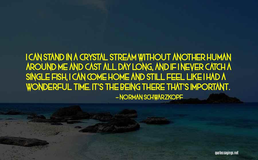 Had A Wonderful Day Quotes By Norman Schwarzkopf Had A Wonderful Day Quotes By Norman Schwarzkopf