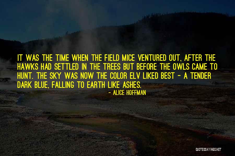 Had Best Time Quotes By Alice Hoffman Had Best Time Quotes By Alice Hoffman