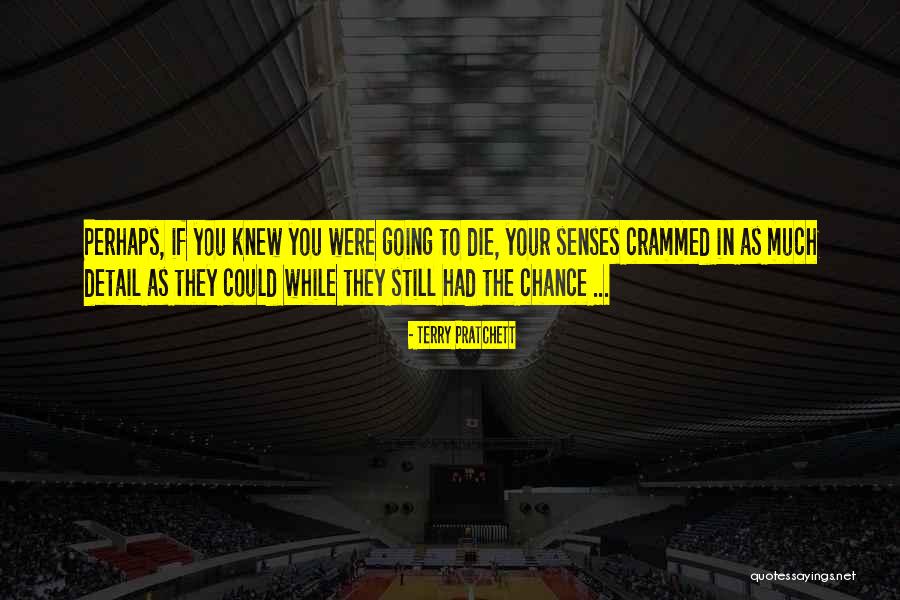 Had Your Chance Quotes By Terry Pratchett Had Your Chance Quotes By Terry Pratchett