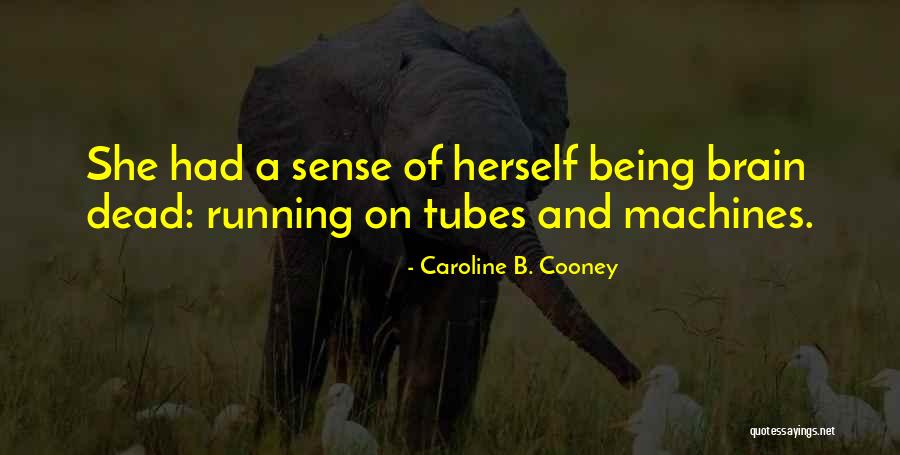Haddou Samia Quotes By Caroline B. Cooney Haddou Samia Quotes By Caroline B. Cooney