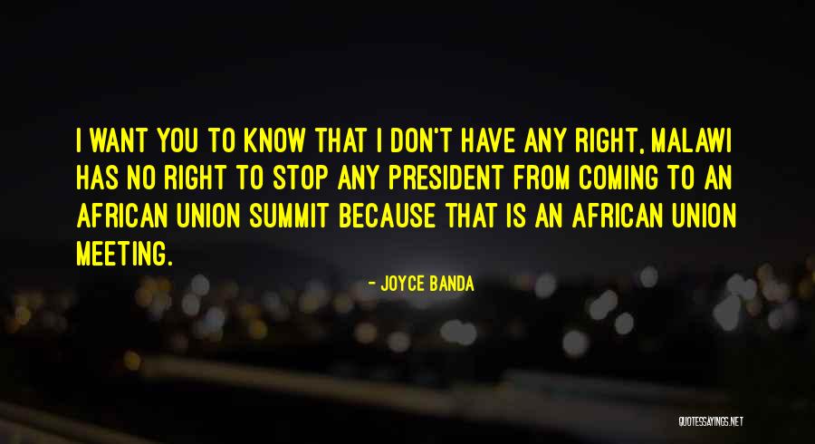 Hadidas Quotes By Joyce Banda Hadidas Quotes By Joyce Banda