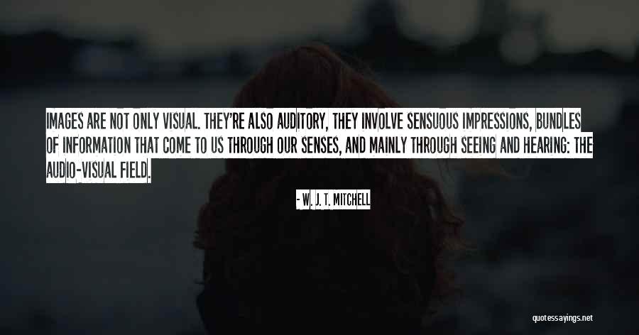 Hadiqa Khan Quotes By W. J. T. Mitchell Hadiqa Khan Quotes By W. J. T. Mitchell