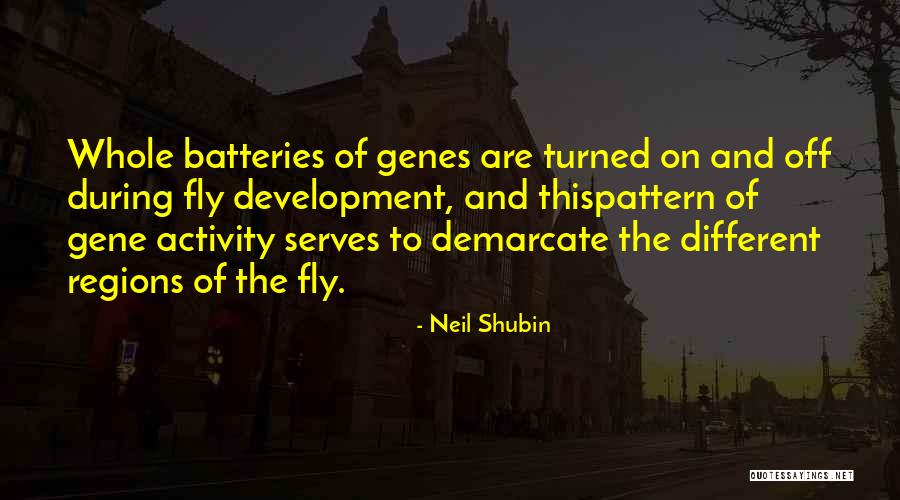 Hadj Lakhdar Moul Imara Quotes By Neil Shubin Hadj Lakhdar Moul Imara Quotes By Neil Shubin