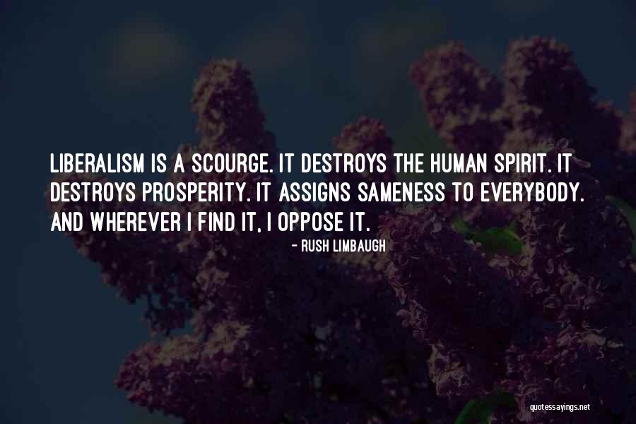Hadjadj Avant Quotes By Rush Limbaugh Hadjadj Avant Quotes By Rush Limbaugh