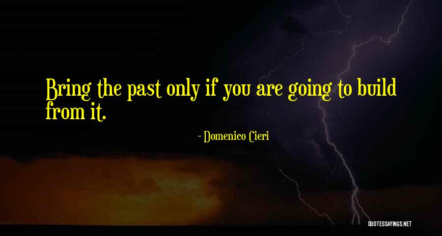 Hadsonas Quotes By Domenico Cieri Hadsonas Quotes By Domenico Cieri