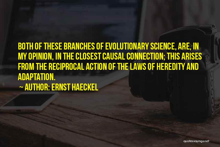 Haeckel Quotes By Ernst Haeckel