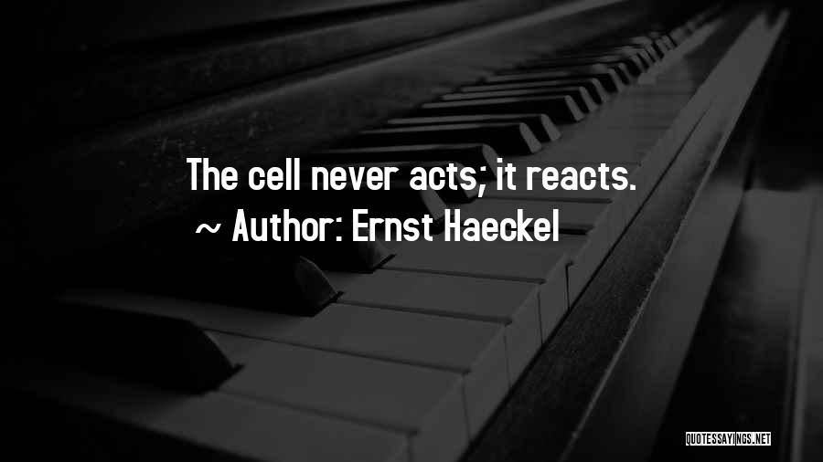 Haeckel Quotes By Ernst Haeckel