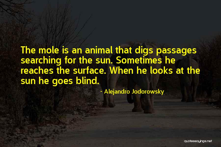 Haeden Quotes By Alejandro Jodorowsky Haeden Quotes By Alejandro Jodorowsky