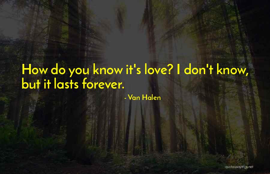 Hael Quotes By Van Halen Hael Quotes By Van Halen