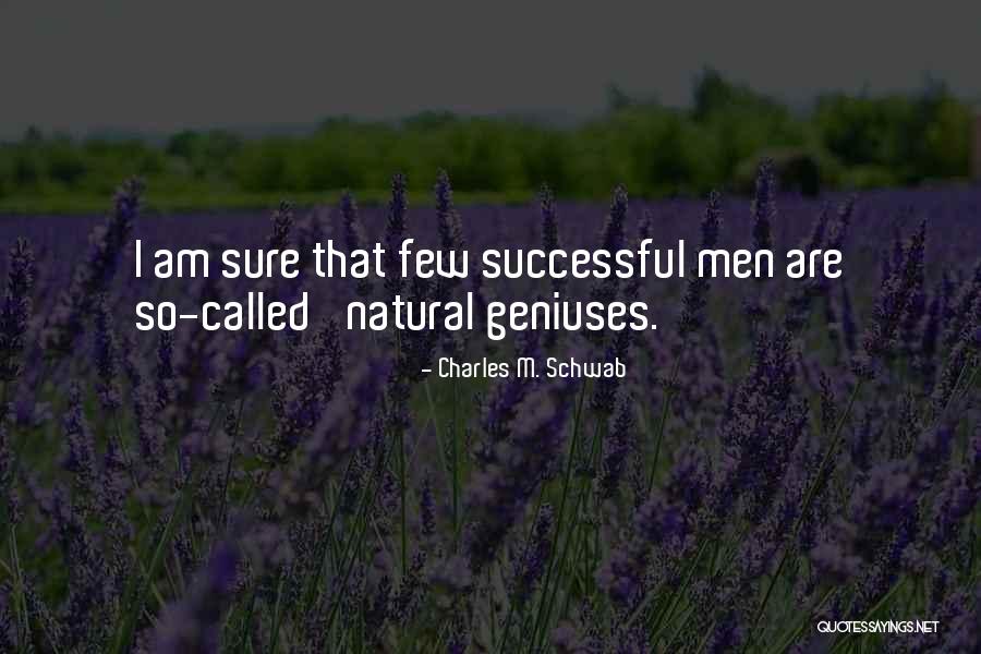 Haeseveld Quotes By Charles M. Schwab Haeseveld Quotes By Charles M. Schwab