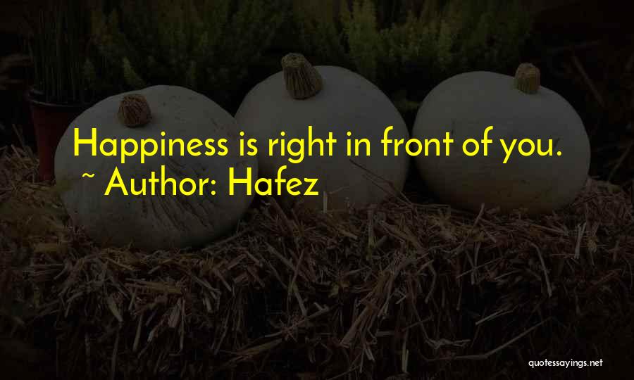 Hafez Quotes 957840