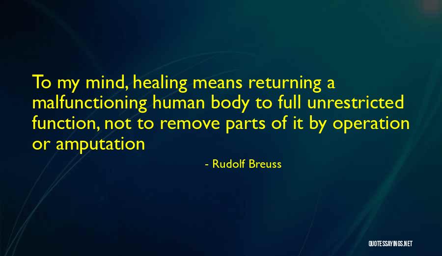 Haffa Gud Quotes By Rudolf Breuss Haffa Gud Quotes By Rudolf Breuss