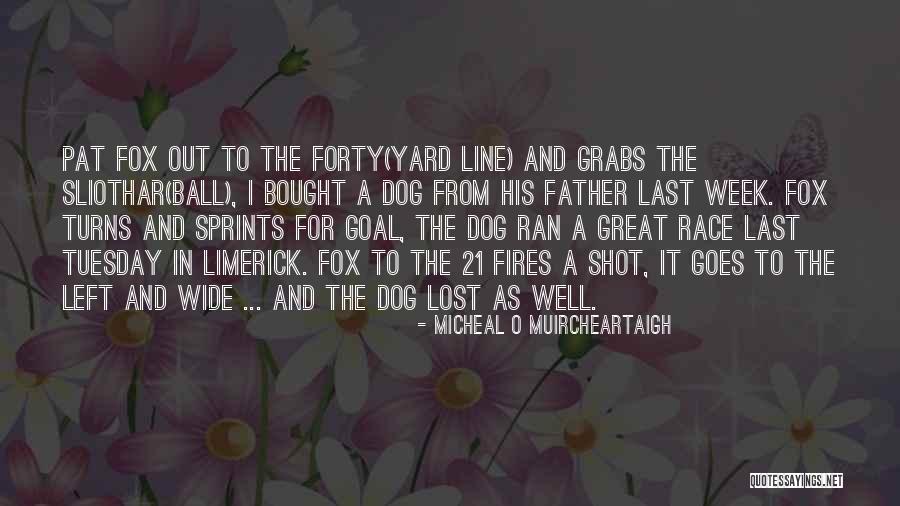 Hagenstein Entertainment Quotes By Micheal O Muircheartaigh Hagenstein Entertainment Quotes By Micheal O Muircheartaigh